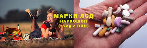 mdpv Белая Холуница