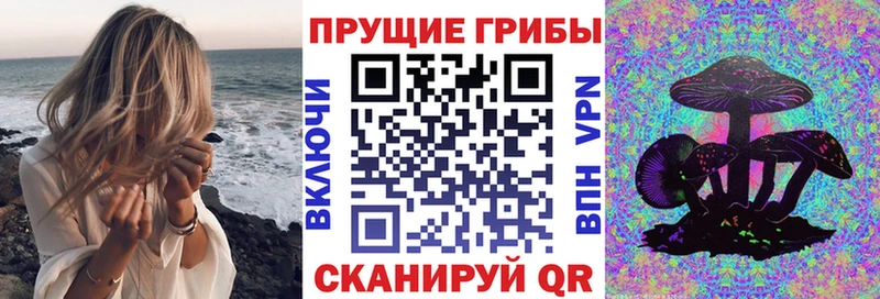 Галлюциногенные грибы мицелий  где продают наркотики  Волжск 