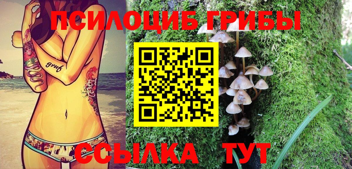 Псилоцибиновые грибы мицелий Волжск