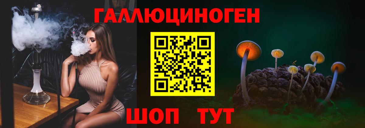 как найти закладки  Волжск  Псилоцибиновые грибы Magic Shrooms 